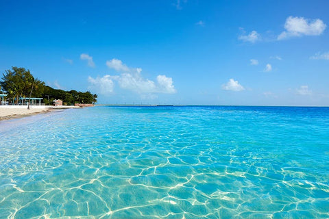 Higgs Beach on Key West in the Florida Keys. lunamarina / Shutterstock